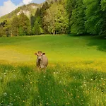 Agreable D'hotes, Au Calme, Dans La Nature 3* Roches
