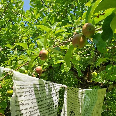 Agreable D'hotes, Au Calme, Dans La Nature Bed & Breakfast 3*