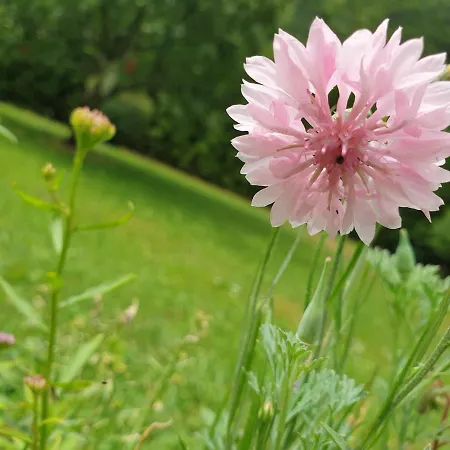 Agreable D'hotes, Au Calme, Dans La Nature Bed & Breakfast Roches
