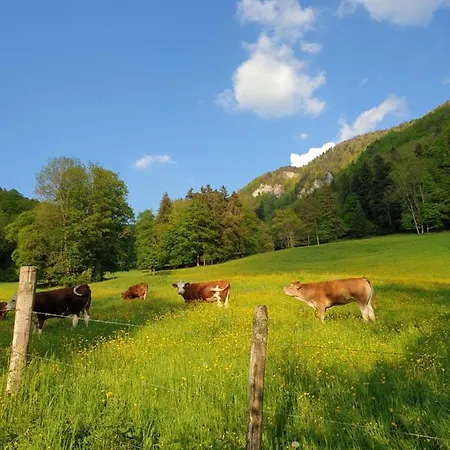 Agreable D'hotes, Au Calme, Dans La Nature Bed & Breakfast Roches