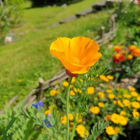 Agreable D'hotes, Au Calme, Dans La Nature 3*