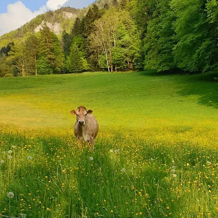 Agreable D'hotes, Au Calme, Dans La Nature 3* Roches