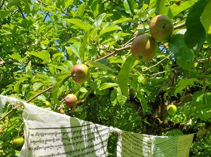 Agreable D'hotes, Au Calme, Dans La Nature Bed & Breakfast 3*